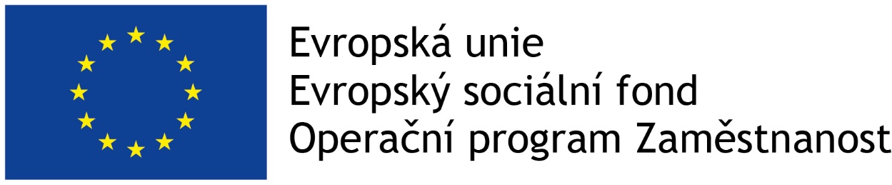 Evropská unie, Evropský sodiální fond, Operační program Zaměstnanost